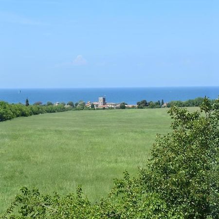Apartmani Ritosa Novigrad  Bagian luar foto