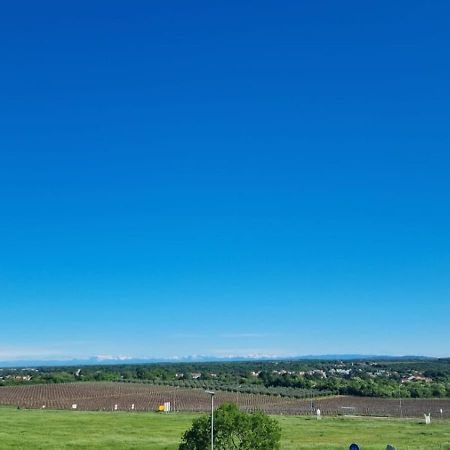Apartmani Ritosa Novigrad  Bagian luar foto