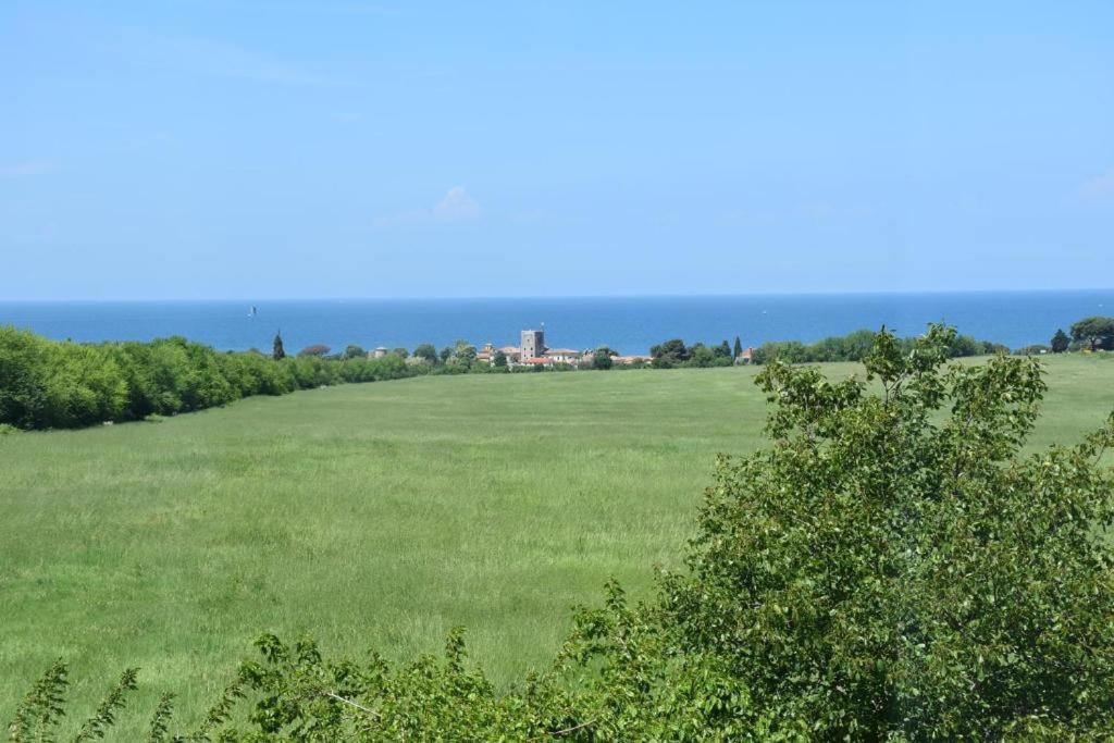 Apartmani Ritosa Novigrad  Bagian luar foto